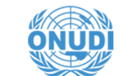 ONUDI