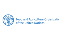 Food and agriculture organization Of the United Nations