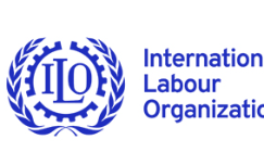 International Labour Organisation