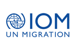 UN MIGRATION