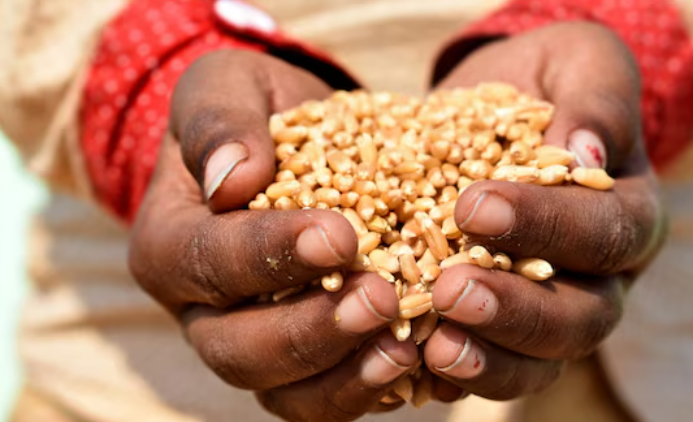 Sécurité alimentaire