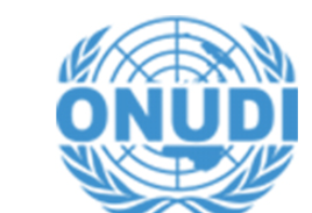 ONUDI