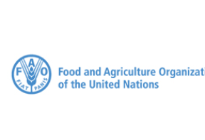 Food and agriculture organization Of the United Nations