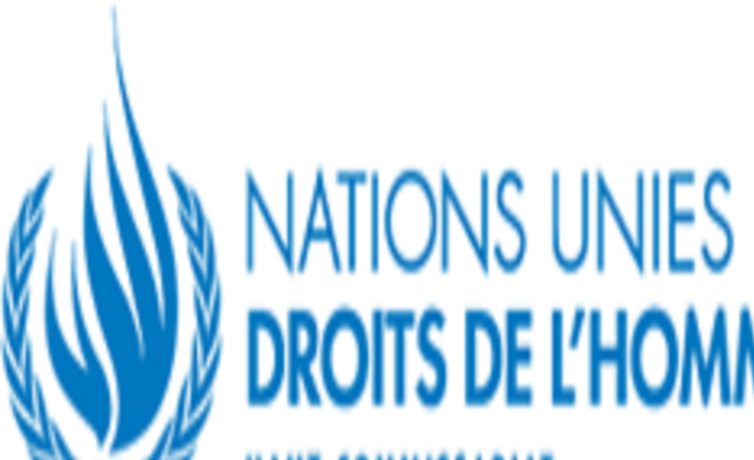 Nations Unies Droits de L'Homme